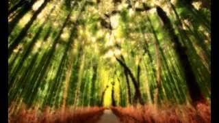 Found My Way (Instrumental)
