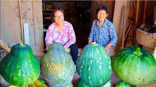 Massive Pumpkin Harvest | Mouthwatering Pumpkin Feast | Traditional Rural Life