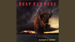 Video thumbnail of "The Beat Farmers - Dark Light"