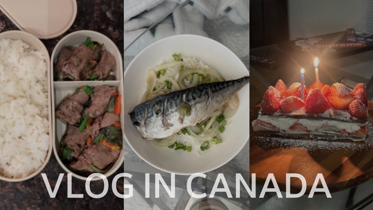 🇨🇦 캐나다 워홀러의 집밥 & 도시락 브이로그 | 고등어 덮밥, 딸기 초코 케이크, 소고기 야채말이