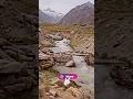 Gaddi Culture (Shepherds Culture) #viral #india #culture