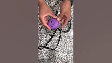 Mini Educator E Collar System 
