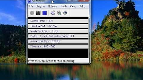 Camstudio Test Settings