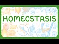 Understanding Homeostasis