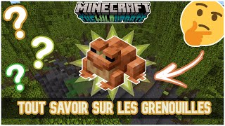 Tout Savoir Sur Les Grenouilles Minecraft Wild Update 1.19