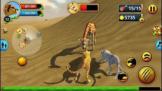 Cheetah Family Sim 3D Android Gameplay HD #6 screenshot 4