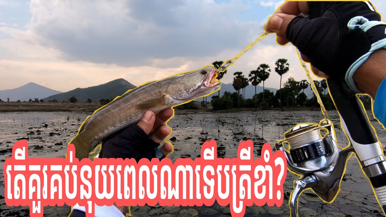 តើគួរគប់នុយពេលណាទើបត្រីខាំ? When Fish On?