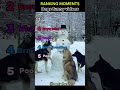 Dogs funny videos 🤣 part 6 #dog #dogs #dogvideos #funnydogs #pets