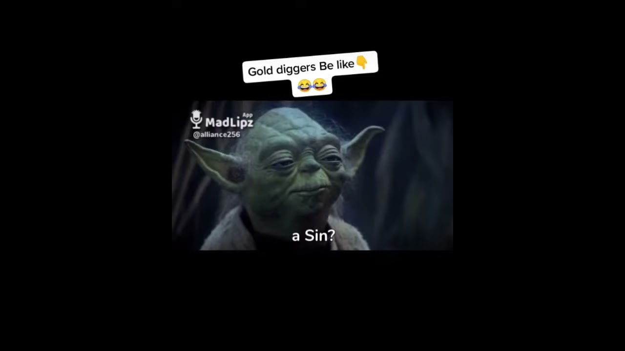 Best Madlipz Videos 2020 Madlips