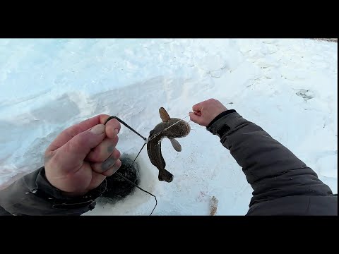 Рыбалка у чëрной дыры. Серия пятьдесят пять.