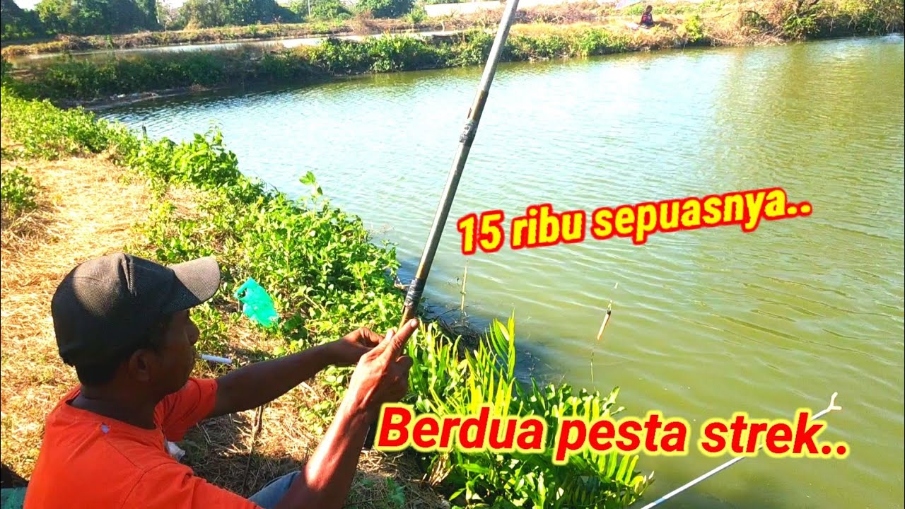 ASLI PESTA PORA CUKUP 15 RIBU//MANCING IKAN TAMBAK OSSO SIDOARJO