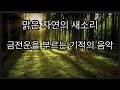 21일 만에 행복한 소식을 부르는 기적의 음악/21일 만에 당신에게 반드시기쁜 소식이 생길거에요.