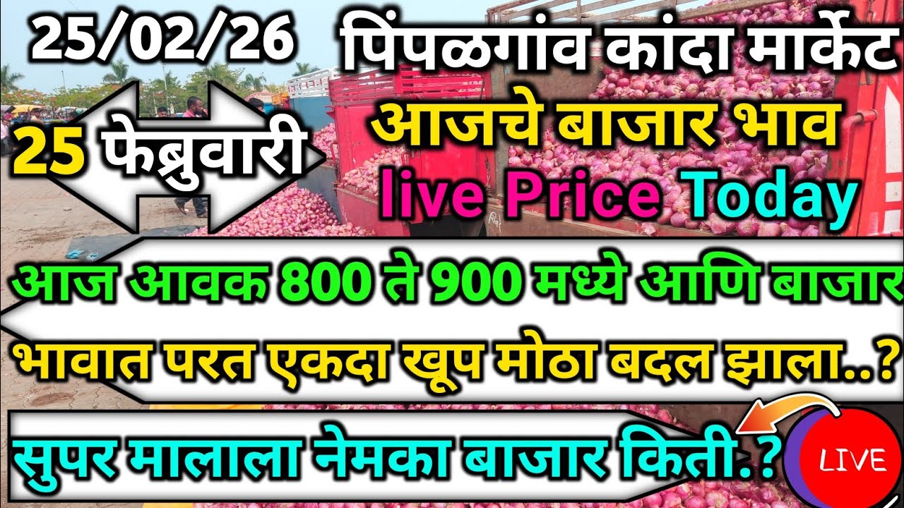 Pimpalgaon Onion Market Price Today:Latest Rates And Insights 25 February 2025