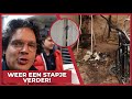 WEER EEN STAPJE VERDER! - #2105