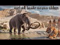 المصري القديم عاش مع حيونات منقرضه الان ...ماهي؟ #الفراعنة