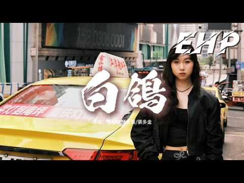 落日微醺本薰/張多金 - 白鴿『前方啊 沒有方向，身上啊 沒有了衣裳，鮮血啊 滲出了翅膀，我的眼淚 濕透了胸膛。』【動態歌詞MV】