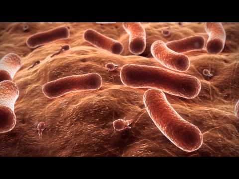 Video: Saintis: Bakteria Mempunyai Watak - Pandangan Alternatif