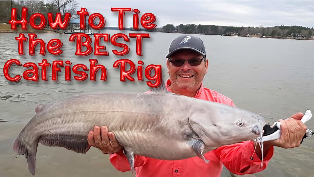 How to tie the Best Catfish Rig! - The Modified Santee Rig! Get'em Greg  Fishing 