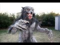 Werewolf Costume 2010