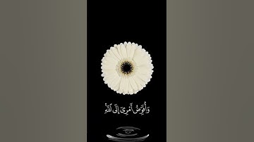 صباح الخير حالات واتس اب مقاطع قصيره قران كريم وافوض امري الى الله ان الله بصير بالعباد بدون حقوق
