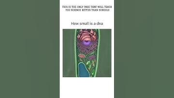 DNA कितना छोटा होता है ये देखो