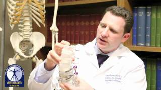 S. Samuel Bederman, MD PhD FRCSC
