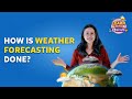 Weather Insights Through Meteorology