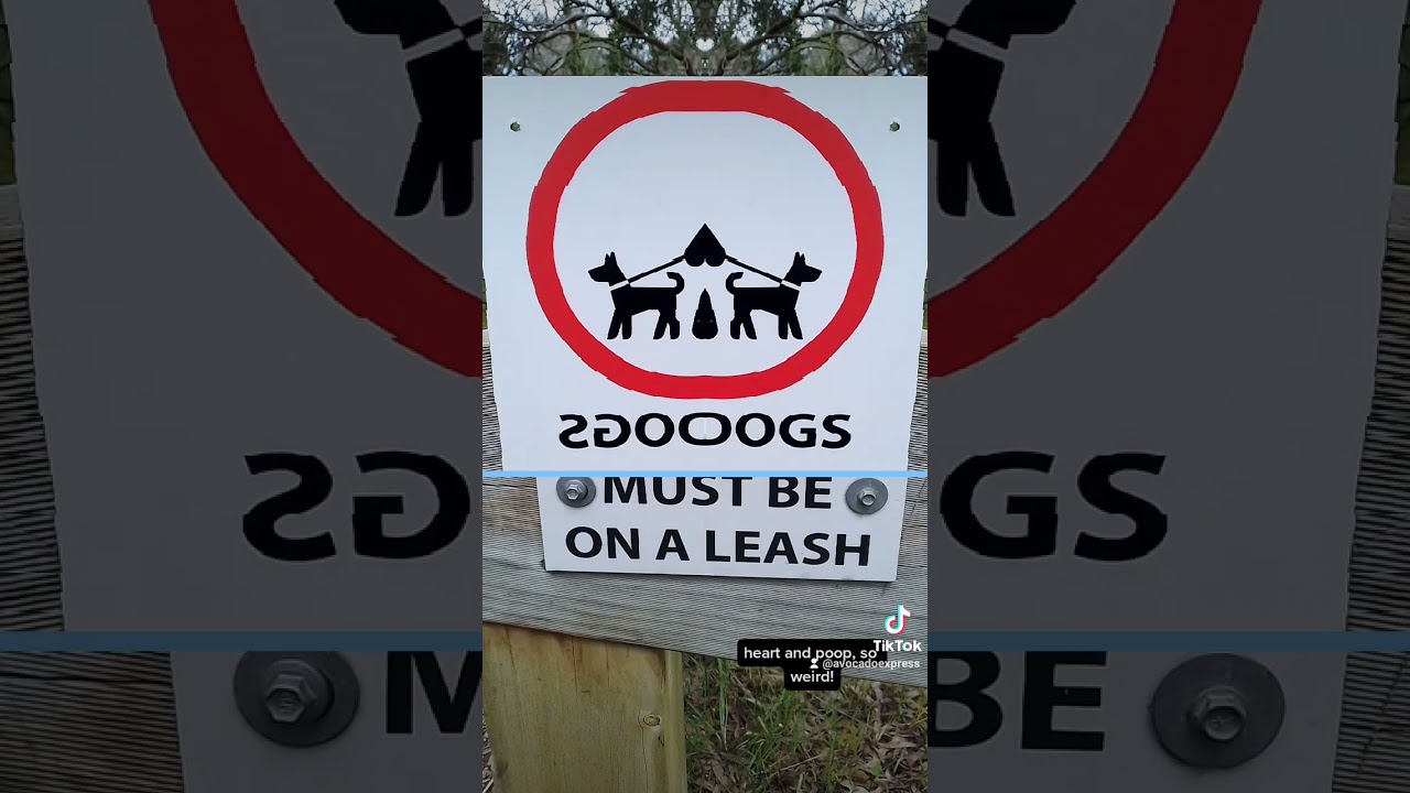 Funny road sign design using Time Freezer App  (Time Warp Scanner Made Awesome)