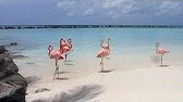 Renaissance Aruba - Marina Hotel & Ocean Suites