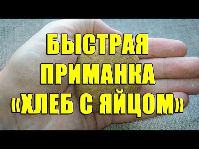 Простая и эффективная приманка из хлеба. Самодельный пластилин для рыбалки. Пластилин из хлеба