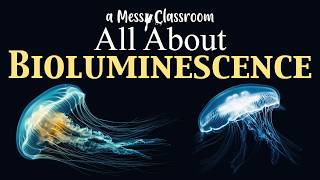 Into the Abyss Bioluminescence Glowing Secrets in the Sea | Bioluminescent Ocean Animals That Shine