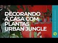 Decorando a casa com plantas - Urban Jungle