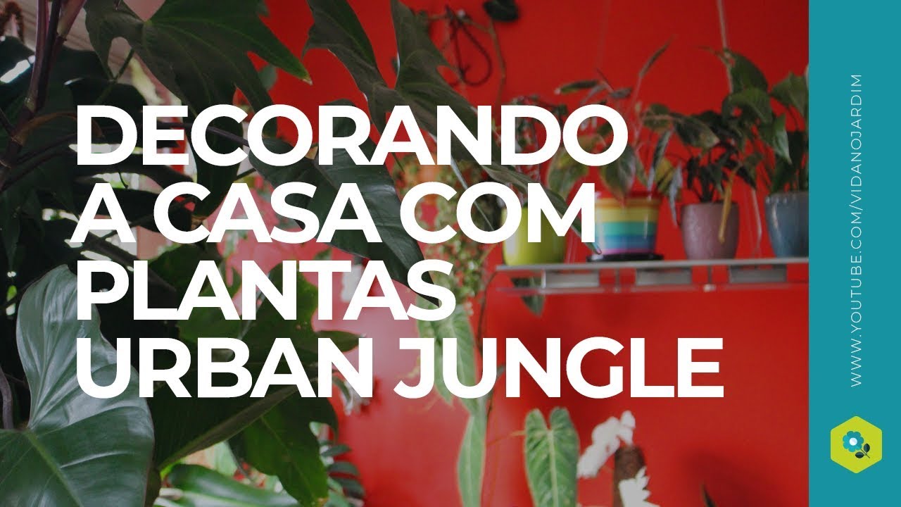 Tendência 'urban jungle' continua em alta; saiba como decorar a casa sem  gastar muito - Suas contas - Extra Online