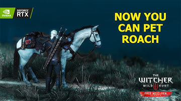 Did You Know You Can Pet Roach? — The Witcher 3 Next Gen