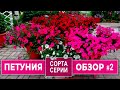 Ампельные ПЕТУНИИ. Обзор по сортам и сериям . Часть вторая