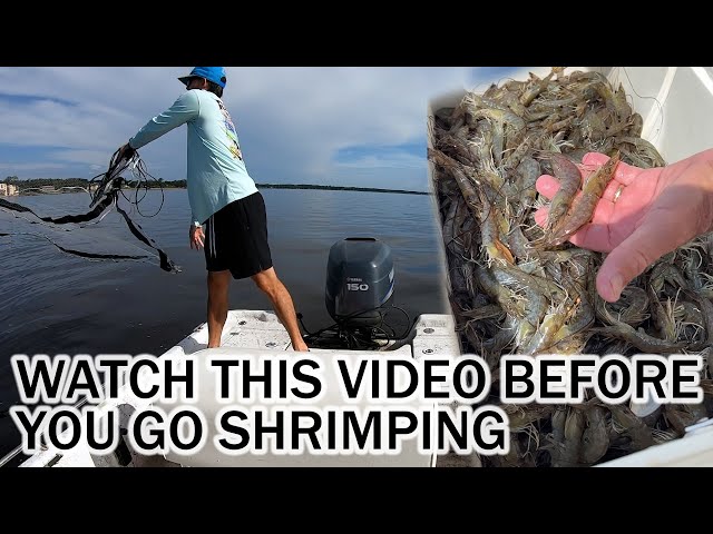 Watch this Video Before You Go Shrimping, Tips & How to Catch Shrimp