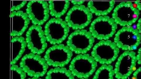 Phase transformation from nanotube to diamond / molecular dynamics simulation