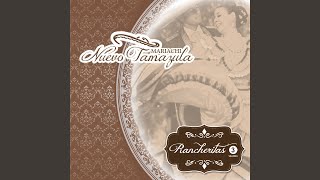 Video thumbnail of "Mariachi Nuevo Tamazula - Regresa"