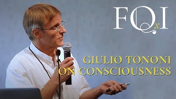 Giulio Tononi on Consciousness