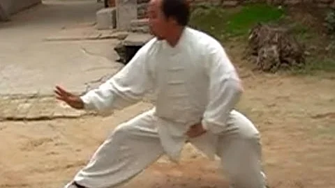 Hulei Taichi Chuan (Taijiquan )- ZHANG SUISHENG-