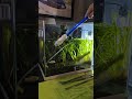 Beard algae | tank maintenance #algae #fishkeeping #bettatank #plantedaquarium