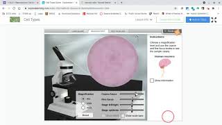 Gizmo: Cells/ Microscope