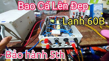 Kích Lạnh Cá Da Trơn Kéo Cáp 60B Mới Bao Cá Lên Đẹp