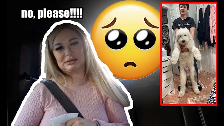 FORCING MY MOM TO GIVE ME BACK MY DOGS!!! YOU CANT...