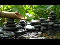 Relaxing Music Sleep 🌿 Piano Music & Nature Sounds Relax Mind, Body and Soul, Spa BGM, Calming Musi