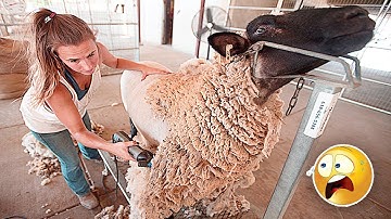 Female Skillful Fastest Workers Never Seen Before! Amazing Machines and Ingenious Tools #12