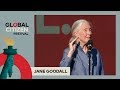 Jane Goodall Calls for Climate Change Action to Save Planet | Global Citizen Festival NYC 2017