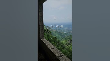 #عاصم_اللحيدان #سورة_الرحمن #quran