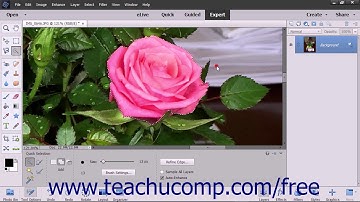 Photoshop Elements 2018 Tutorial Modifying Pixel Selections Adobe Training