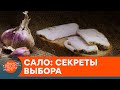 Сало: как выбрать качественное и где  покупать, чтобы не отравиться — ICTV